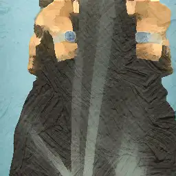 Opérateur/Polisseur visual