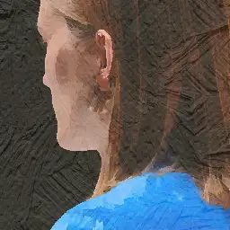 Chef de Projet Réseaux Sociaux Europe Occidentale visual