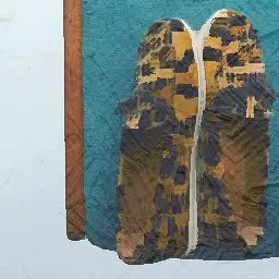 Car Shoe background painting